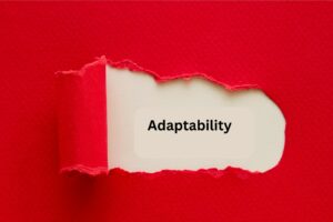 Adaptability